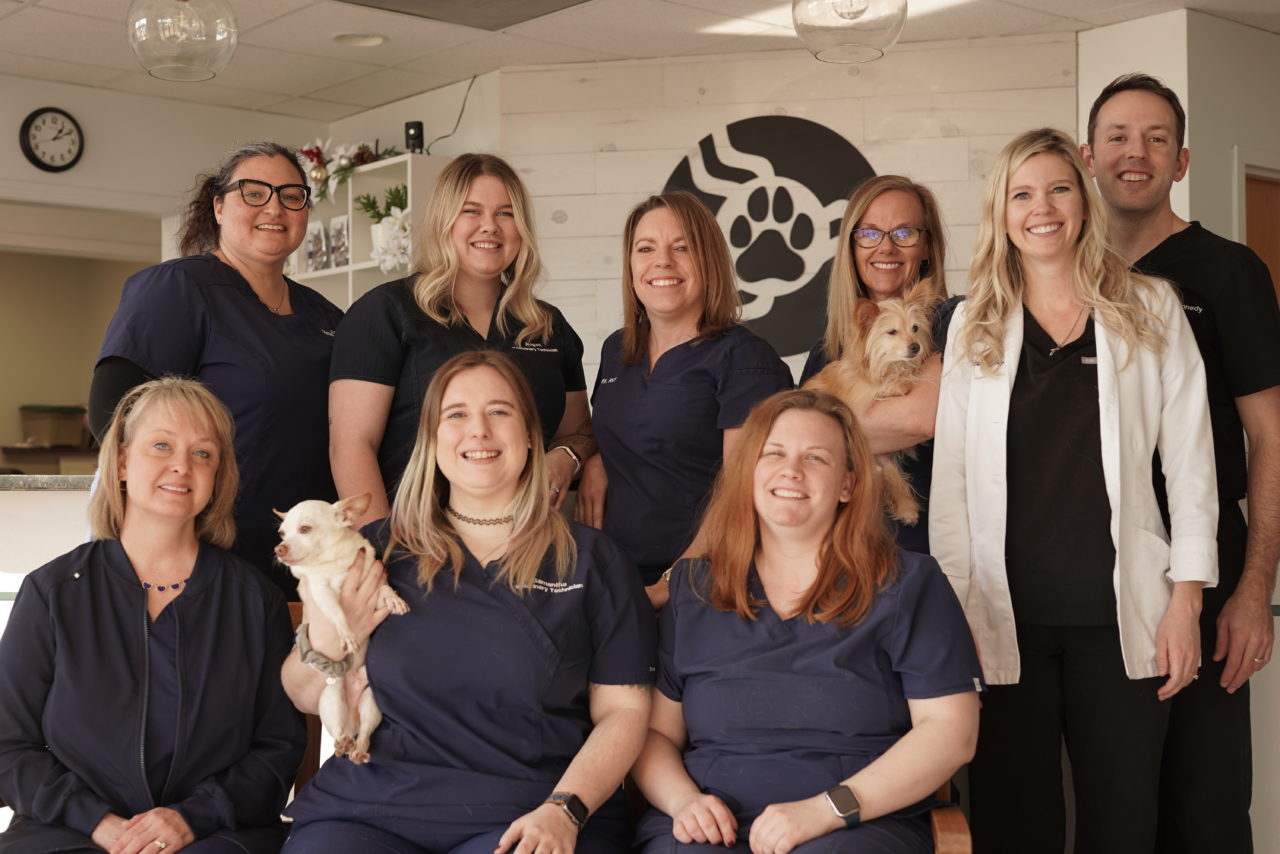 Saint Peters, MO 63304 Veterinarian Pet Health Center