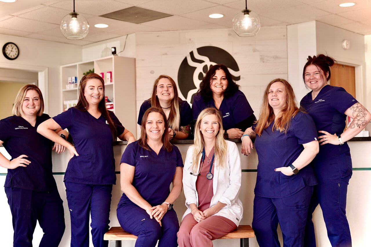 Saint Peters, MO 63304 Veterinarian Pet Health Center