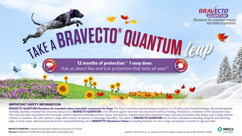 Quantum Vetpro Saint Peters, MO 63304 Veterinary Hospital - Pet Health Center